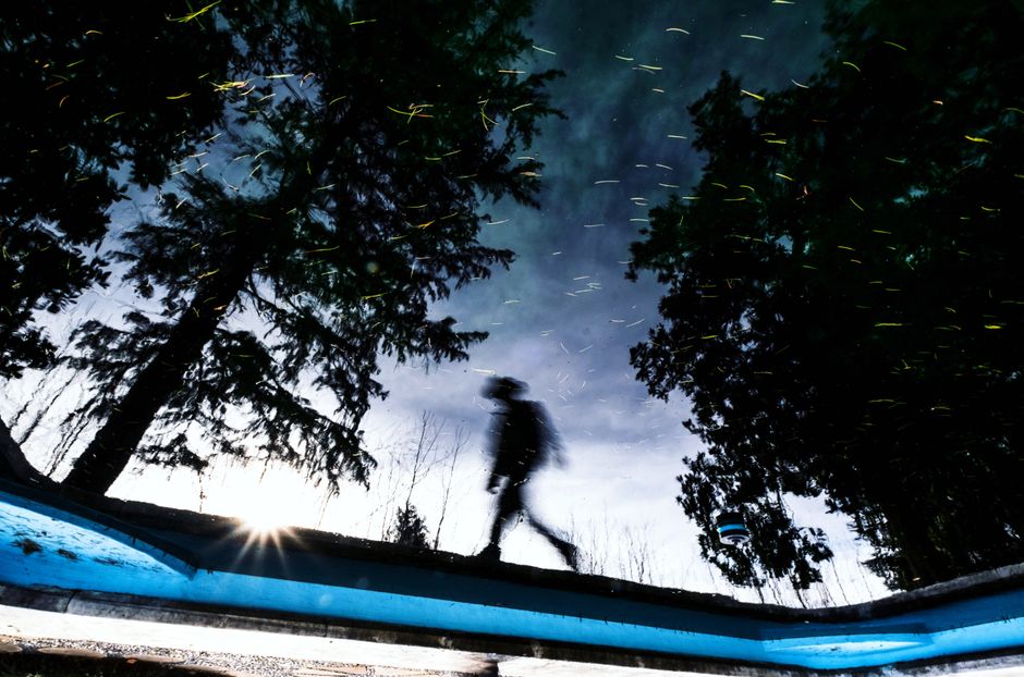 Chasing the Glow: A Beginner's Guide to Firefly Watching in the American South