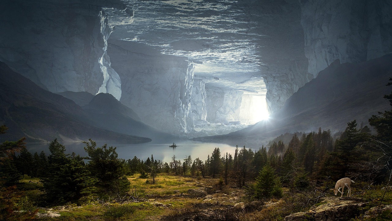Glowworm Caves for Families: What to Expect with Kids in Tow