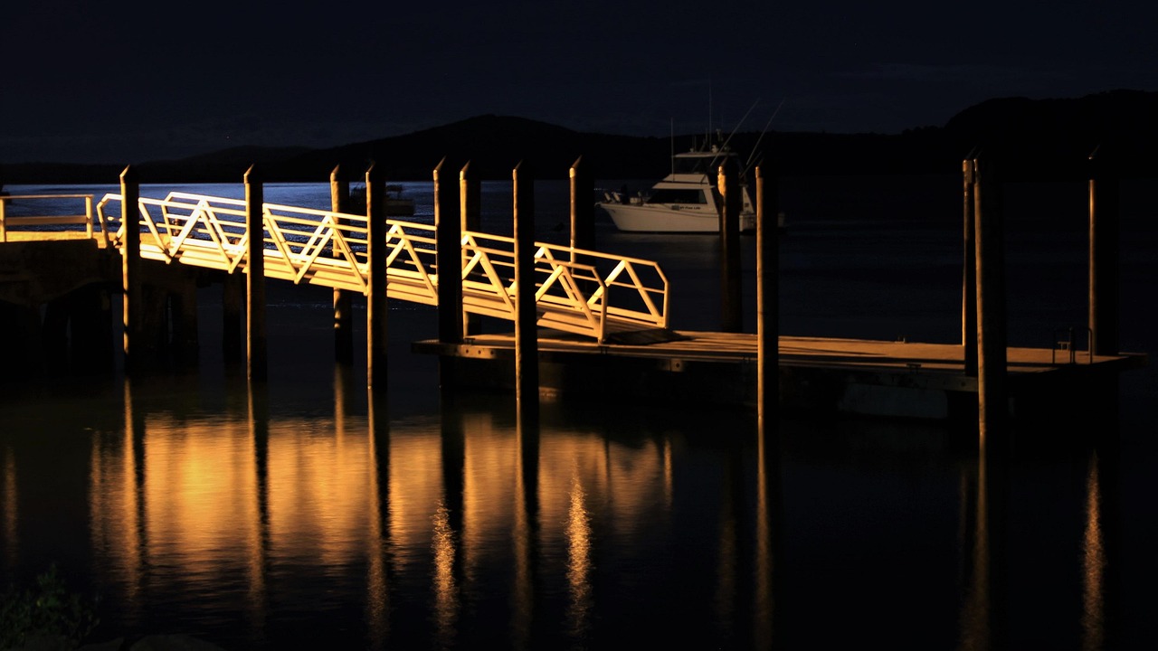 Moon Phases, Tides, and Weather: Timing Your Bioluminescence Trip